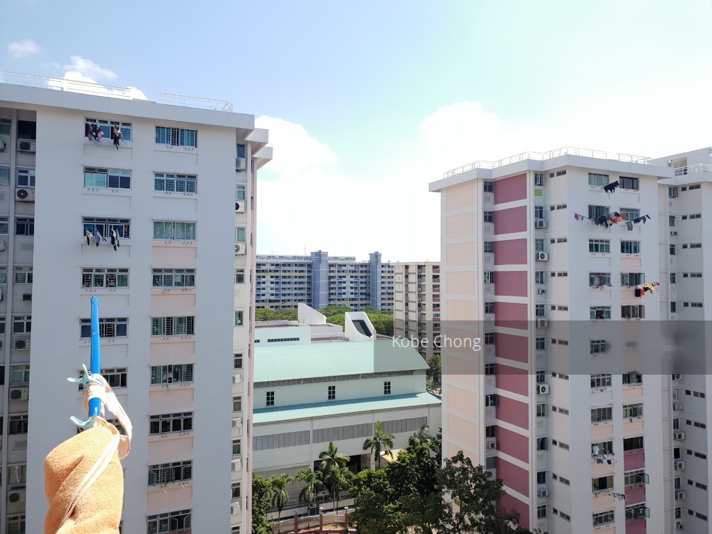 Blk 102 Bedok North Avenue 4 (Bedok), HDB 3 Rooms #198157732